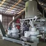 制粒工段|待制粒仓+木屑颗；+出料运送机