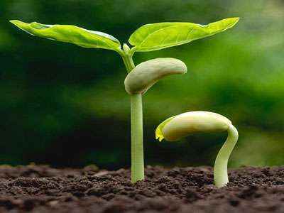 南宫ng28(中国游)官方网站