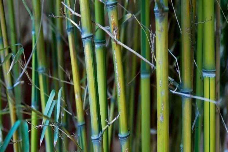 南宫ng28(中国游)官方网站