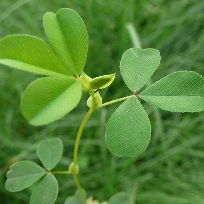 南宫ng28(中国游)官方网站