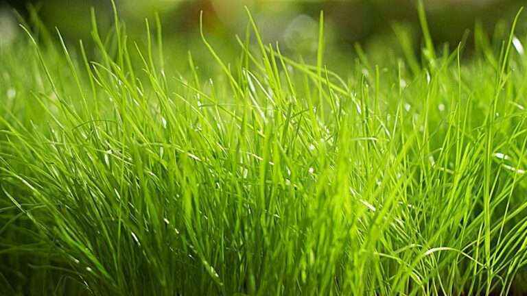 南宫ng28(中国游)官方网站