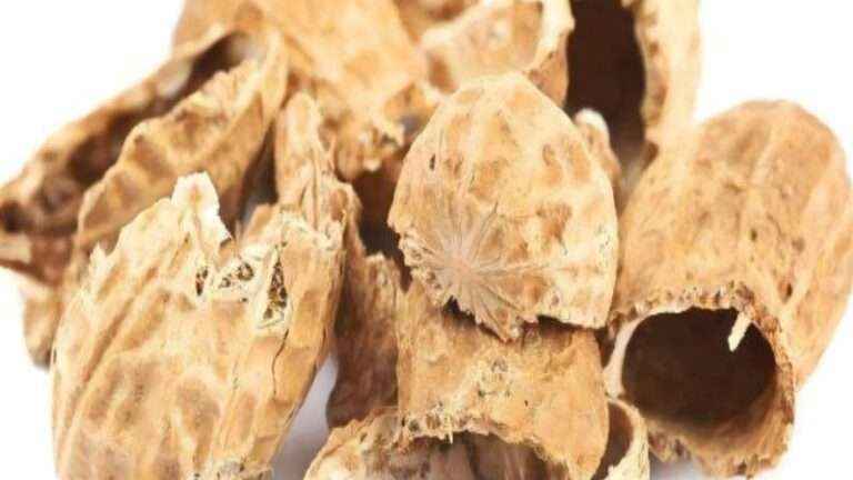 南宫ng28(中国游)官方网站