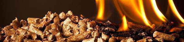 南宫ng28(中国游)官方网站