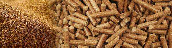 南宫ng28(中国游)官方网站