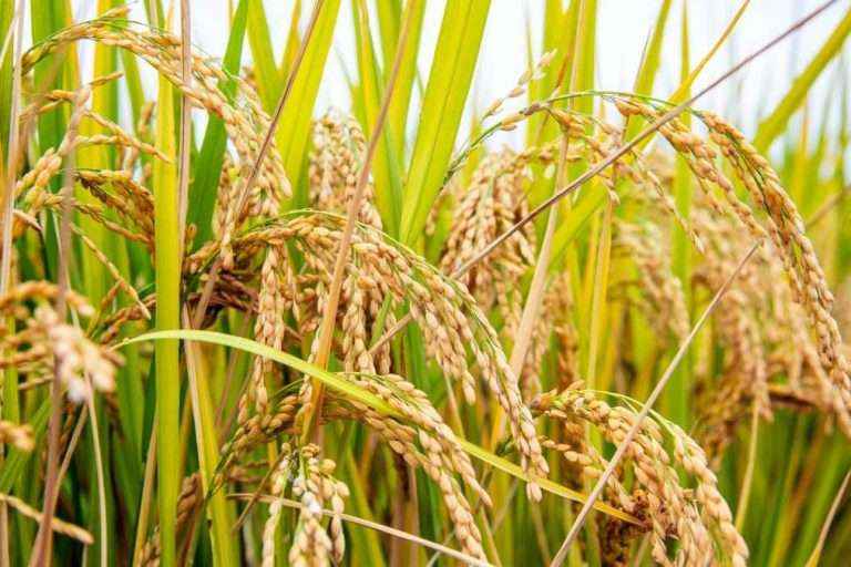 南宫ng28(中国游)官方网站