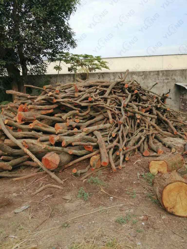 南宫ng28(中国游)官方网站