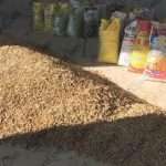 南宫ng28(中国游)官方网站