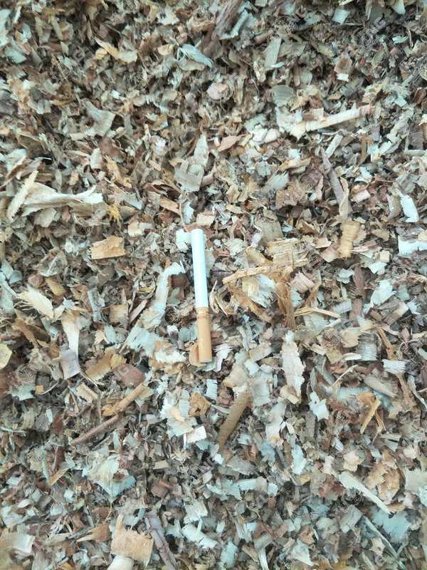 南宫ng28(中国游)官方网站