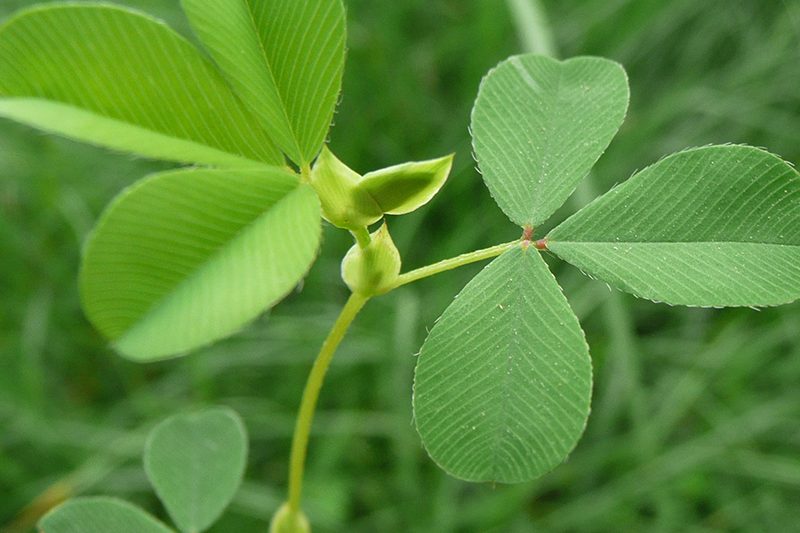 南宫ng28(中国游)官方网站